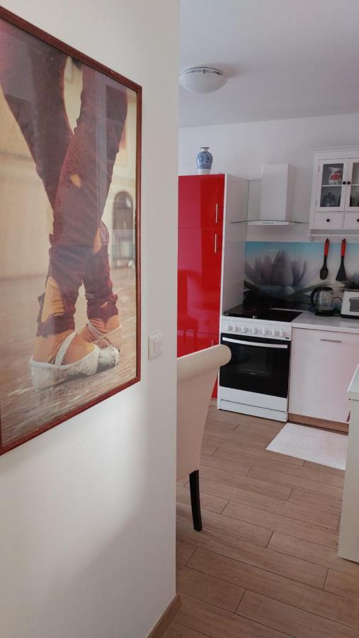 Apartment Buchholz Póla Kültér fotó